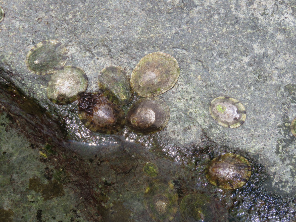 위에서 본 모습